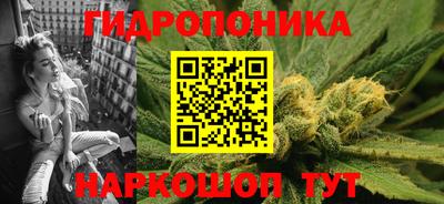 сатива Обь