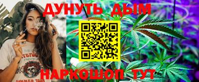 сатива Обь