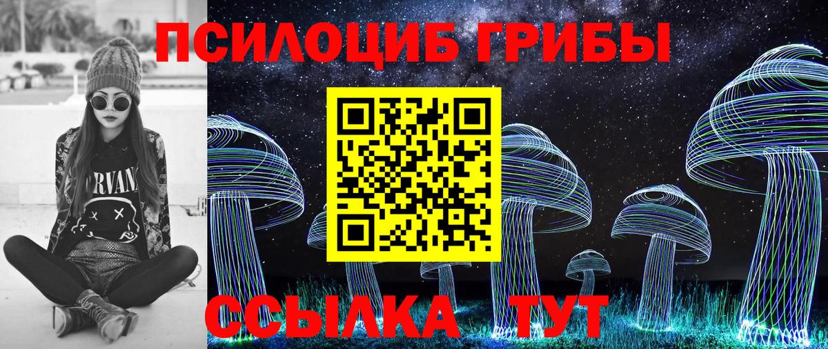 Псилоцибиновые грибы Psilocybe  Вход с VPN  Сургут 